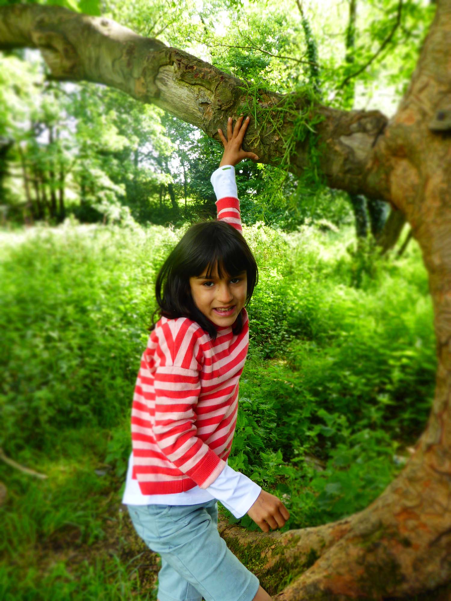 https://indigoartsandcrafts.co.uk/wp-content/uploads/2018/05/May-Half-Term-2017-42.jpg